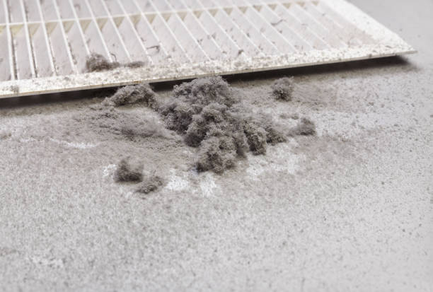 Best General Air Duct Cleaning  in Neptune Beach, FL